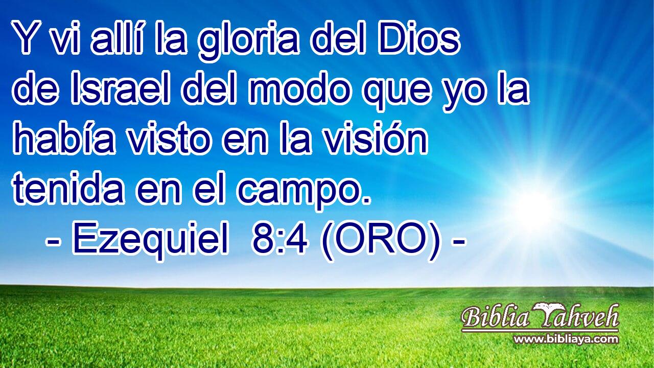  Y vi allí la gloria del Dios de Israel del modo que yo la había visto en la visión tenida en el campo. 