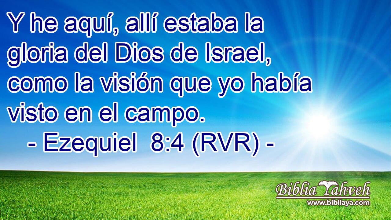 Y he aquí, allí estaba la gloria del Dios de Israel, como la visión que yo había visto en el campo.