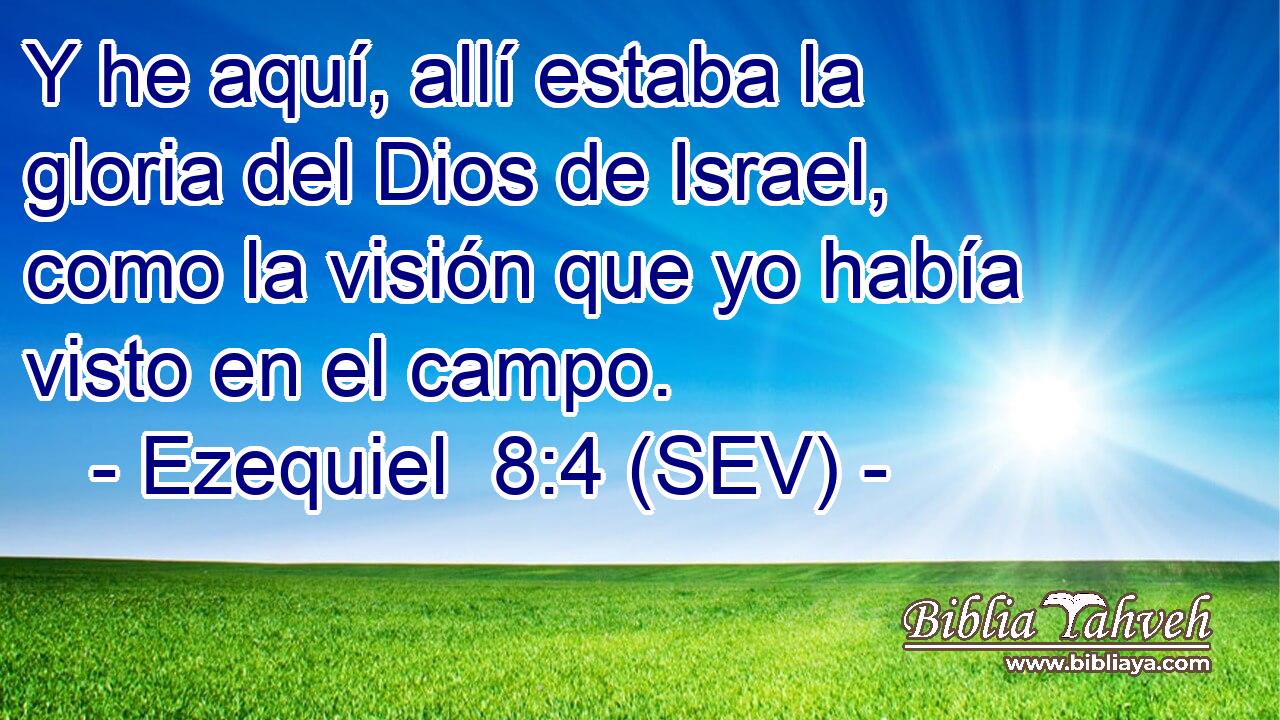 Y he aquí, allí estaba la gloria del Dios de Israel, como la visión que yo había visto en el campo.