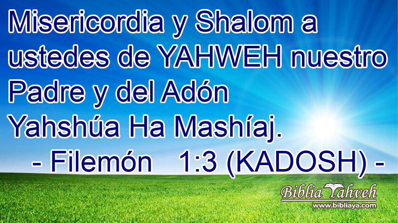  Misericordia y Shalom a ustedes de YAHWEH nuestro Padre y del Adón Yahshúa Ha Mashíaj. 