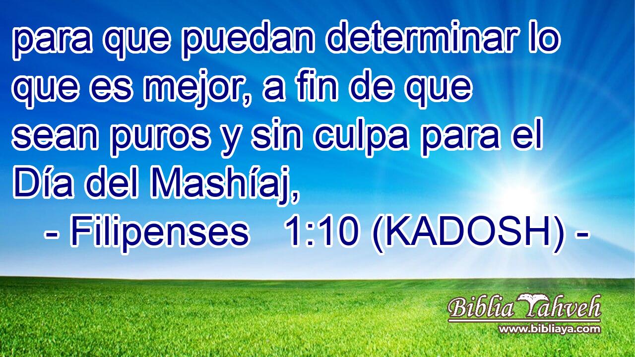  para que puedan determinar lo que es mejor, a fin de que sean puros y sin culpa para el Día del Mashíaj, 