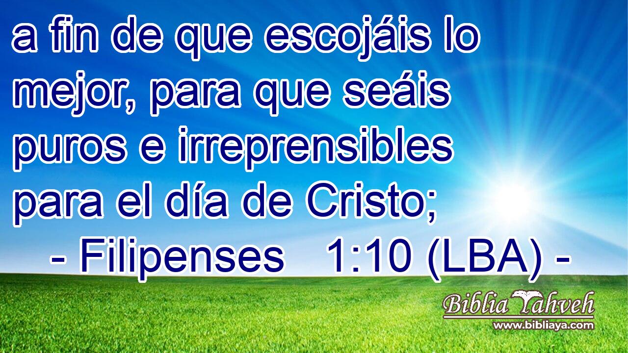 a fin de que escojáis lo mejor, para que seáis puros e irreprensibles para el día de Cristo;