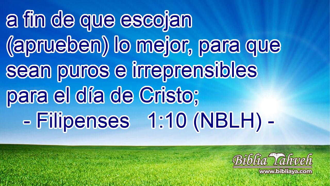  a fin de que escojan (aprueben) lo mejor, para que sean puros e irreprensibles para el día de Cristo; 