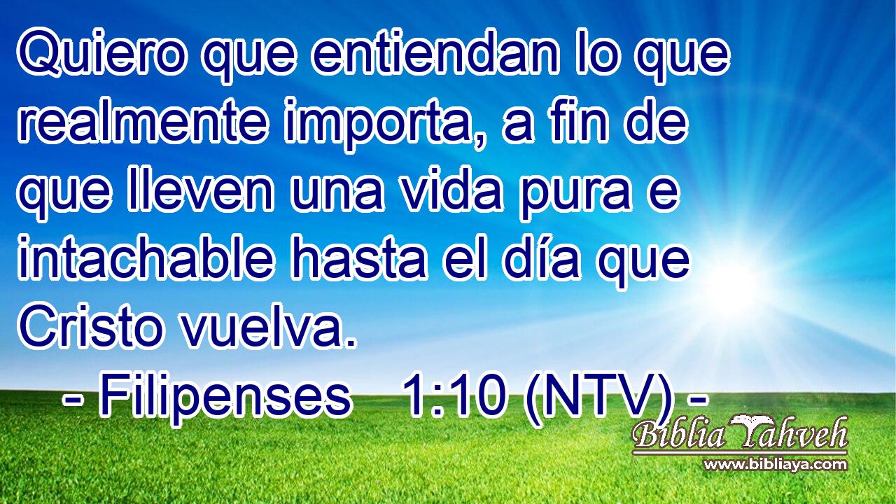 Quiero que entiendan lo que realmente importa, a fin de que lleven una vida pura e intachable hasta el día que Cristo vuelva.