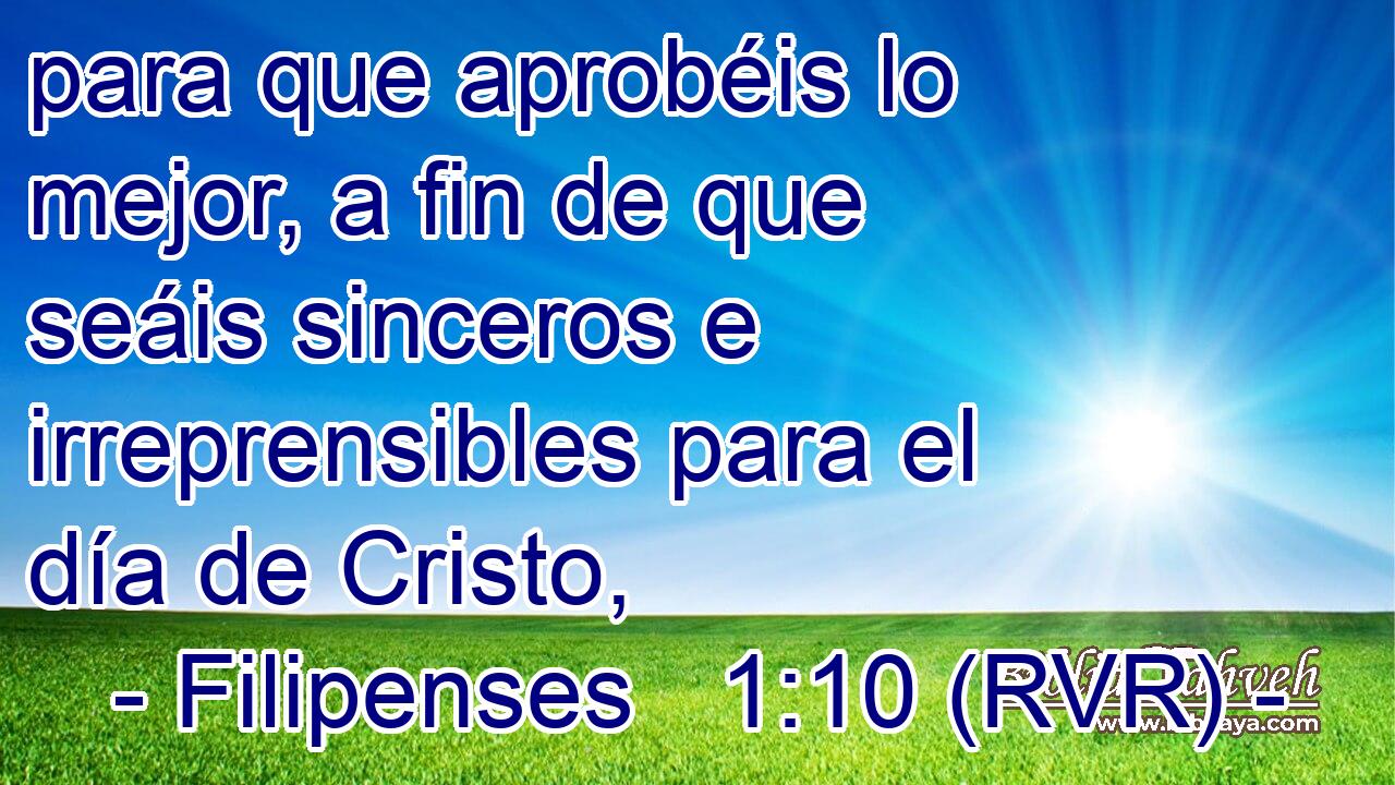 para que aprobéis lo mejor, a fin de que seáis sinceros e irreprensibles para el día de Cristo,
