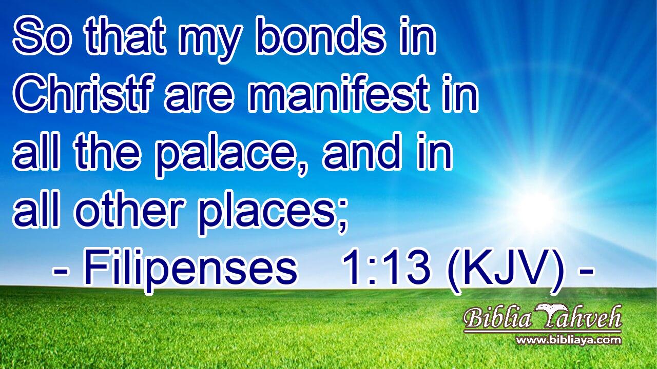 So that my bonds in Christf are manifest in all the palace, and in all other places;