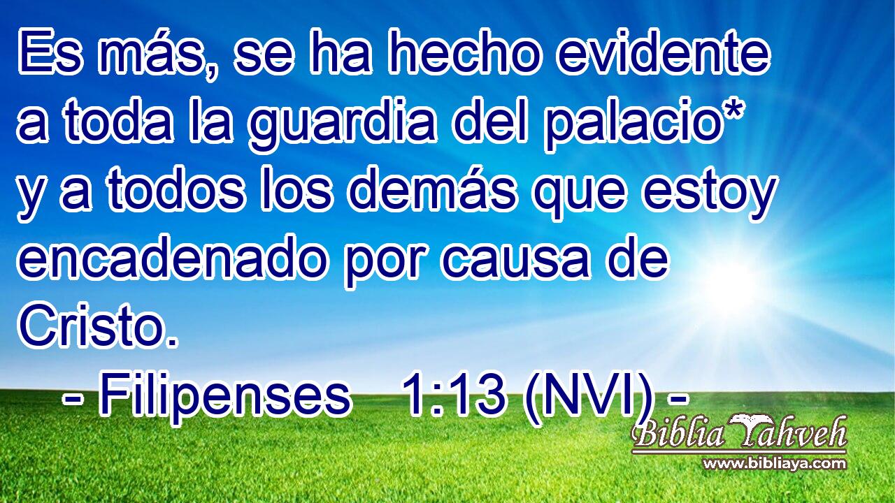  Es más, se ha hecho evidente a toda la guardia del palacio* y a todos los demás que estoy encadenado por causa de Cristo. 