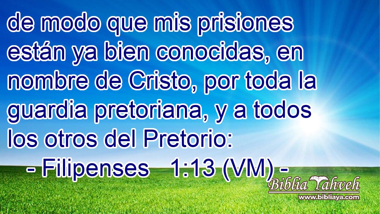  de modo que mis prisiones están ya bien conocidas, en nombre de Cristo, por toda la guardia pretoriana, y a todos los otros del Pretorio: 