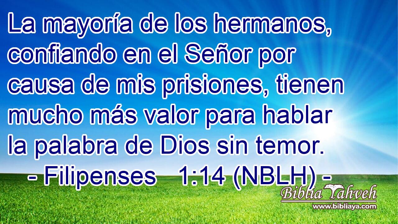  La mayoría de los hermanos, confiando en el Señor por causa de mis prisiones, tienen mucho más valor para hablar la palabra de Dios sin temor. 