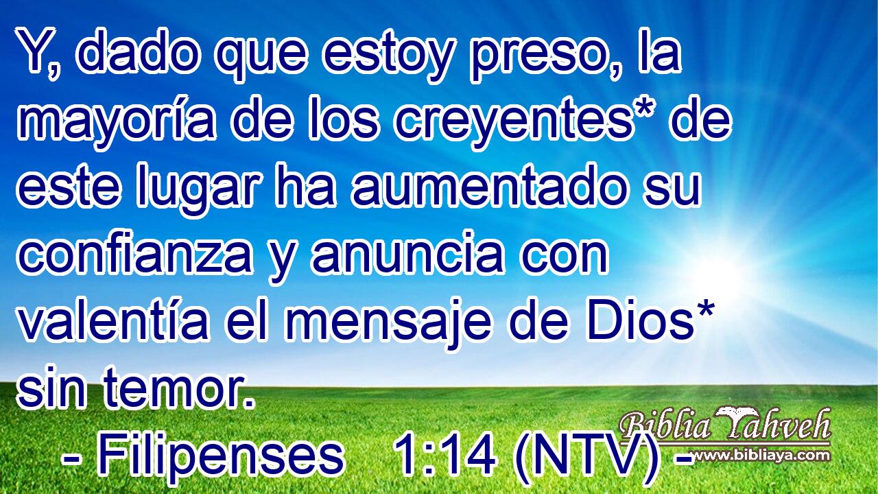 Y, dado que estoy preso, la mayoría de los creyentes* de este lugar ha aumentado su confianza y anuncia con valentía el mensaje de Dios* sin temor.