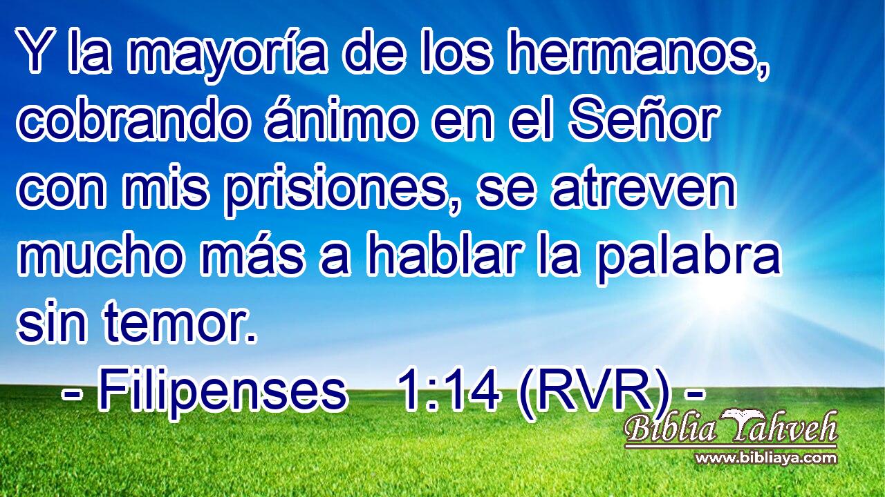 Y la mayoría de los hermanos, cobrando ánimo en el Señor con mis prisiones, se atreven mucho más a hablar la palabra sin temor.