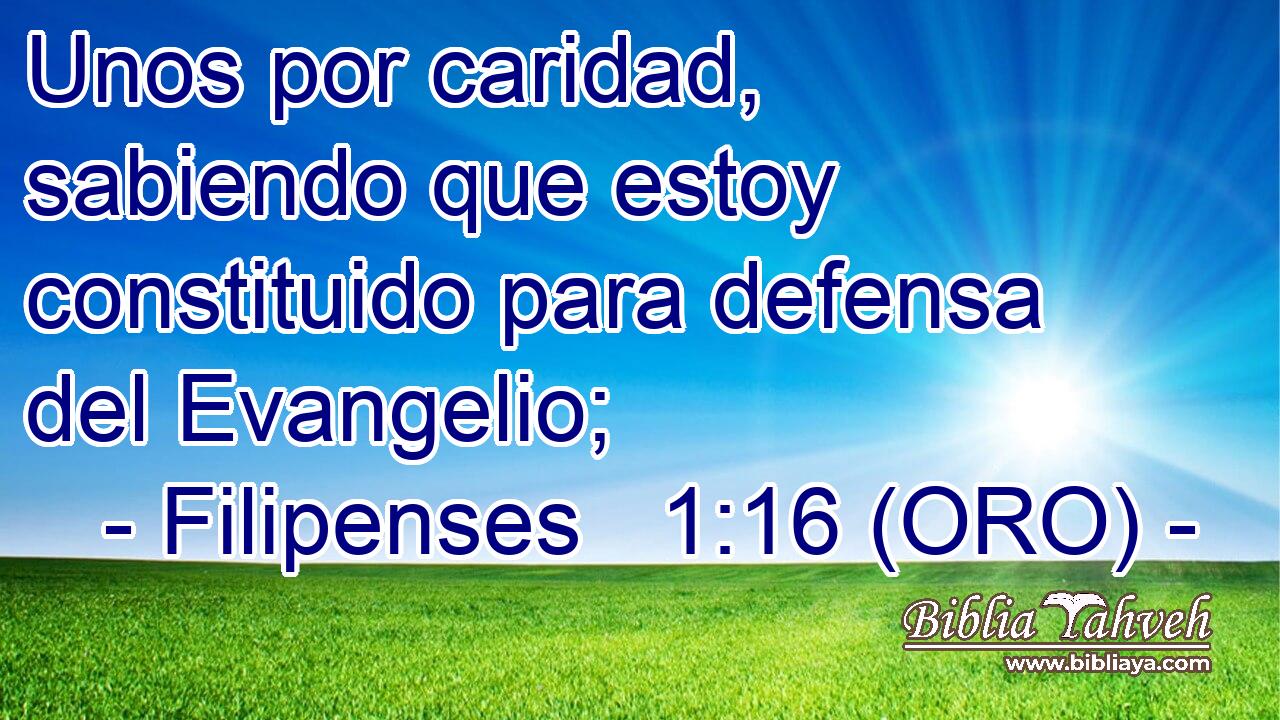  Unos por caridad, sabiendo que estoy constituido para defensa del Evangelio; 
