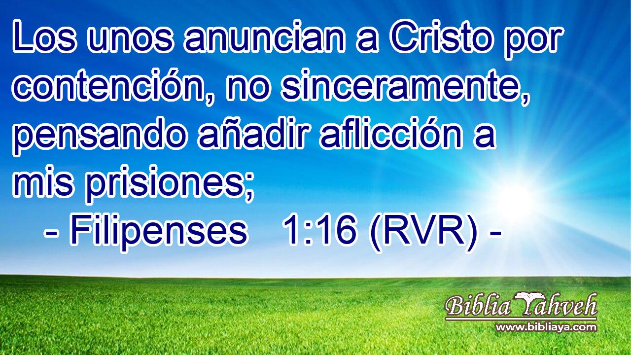 Los unos anuncian a Cristo por contención, no sinceramente, pensando añadir aflicción a mis prisiones;