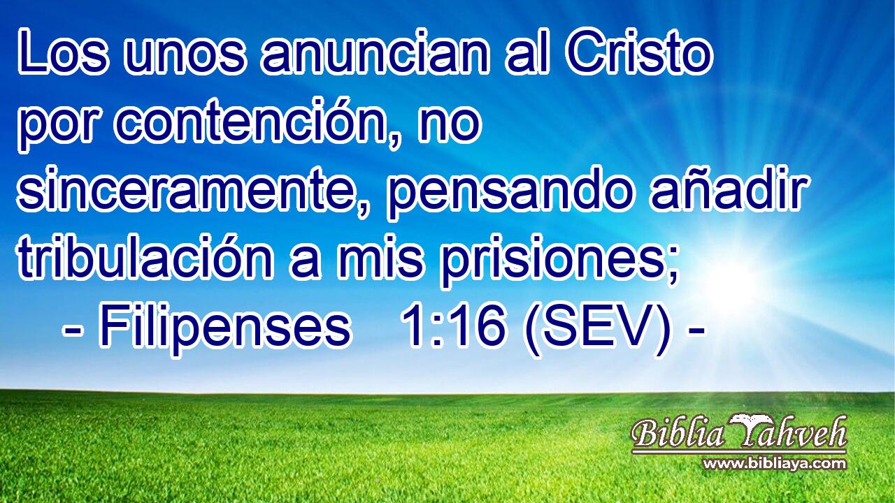 Los unos anuncian al Cristo por contención, no sinceramente, pensando añadir tribulación a mis prisiones;
