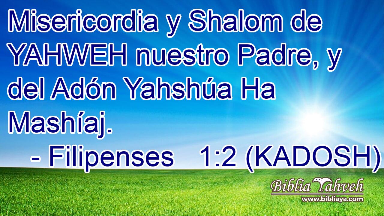  Misericordia y Shalom de YAHWEH nuestro Padre, y del Adón Yahshúa Ha Mashíaj. 