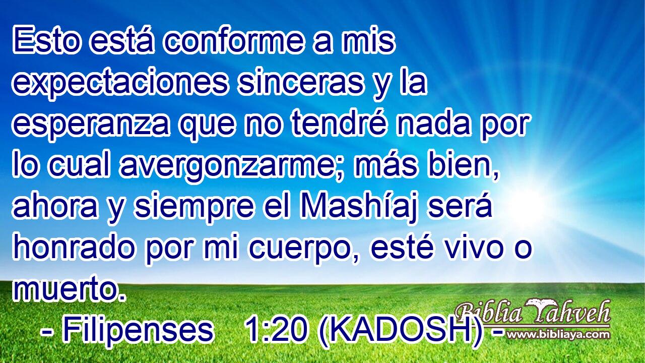  Esto está conforme a mis expectaciones sinceras y la esperanza que no tendré nada por lo cual avergonzarme; más bien, ahora y siempre el Mashíaj será honrado por mi cuerpo, esté vivo o muerto. 