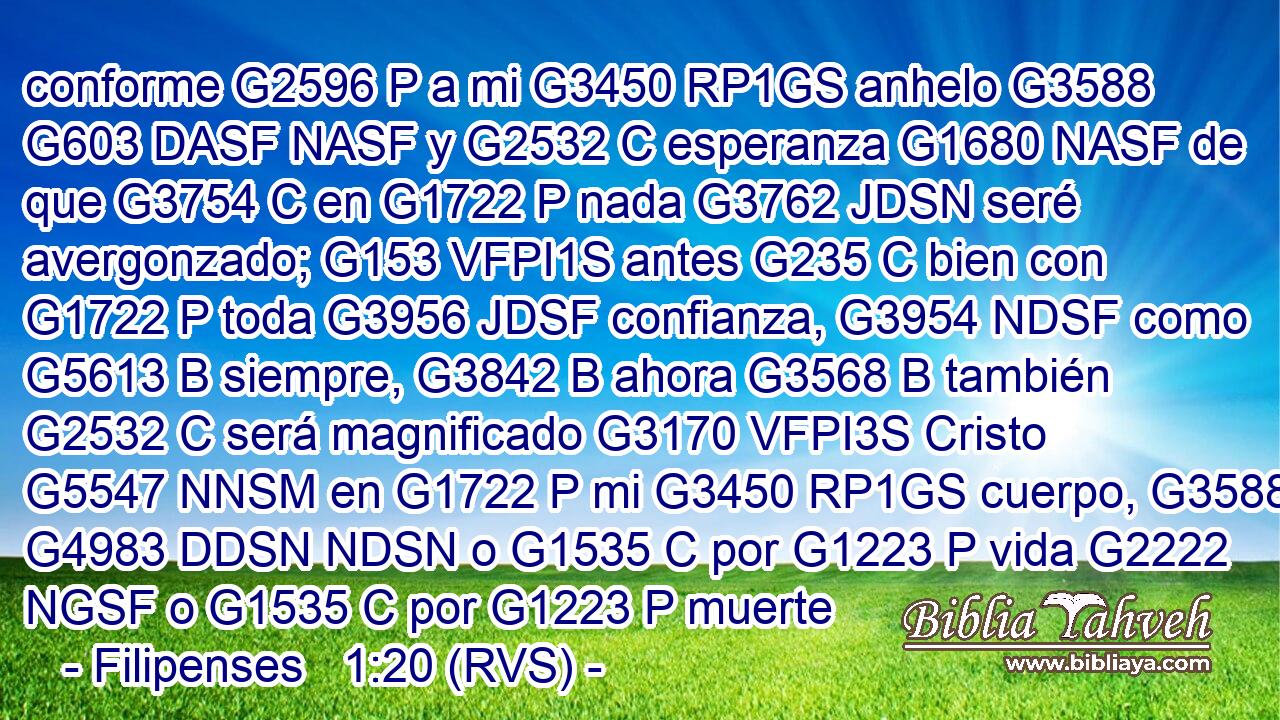 conforme G2596 P a mi G3450 RP1GS anhelo G3588 G603 DASF NASF y G2532 C esperanza G1680 NASF de que G3754 C en G1722 P nada G3762 JDSN seré avergonzado; G153 VFPI1S antes G235 C bien con G1722 P toda G3956 JDSF confianza, G3954 NDSF como G5613 B siempre, G3842 B ahora G3568 B también G2532 C será magnificado G3170 VFPI3S Cristo G5547 NNSM en G1722 P mi G3450 RP1GS cuerpo, G3588 G4983 DDSN NDSN o G1535 C por G1223 P vida G2222 NGSF o G1535 C por G1223 P muerte