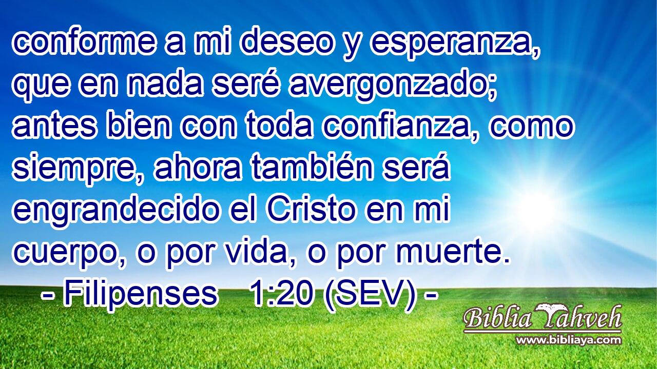 conforme a mi deseo y esperanza, que en nada seré avergonzado; antes bien con toda confianza, como siempre, ahora también será engrandecido el Cristo en mi cuerpo, o por vida, o por muerte.