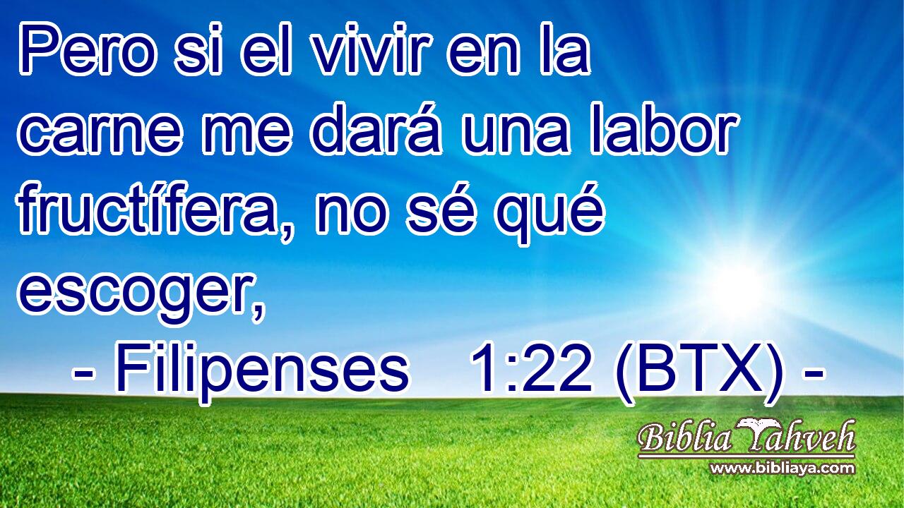 Pero si el vivir en la carne me dará una labor fructífera, no sé qué escoger,