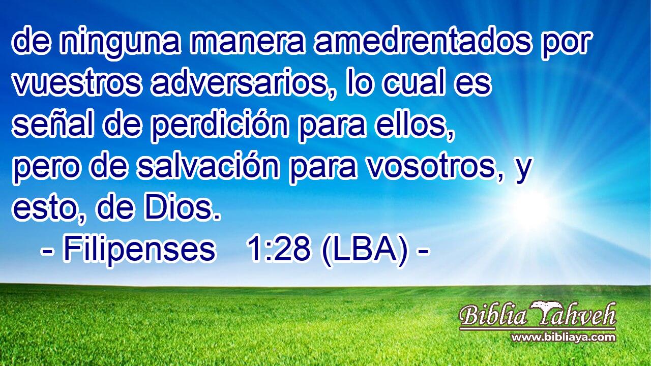 de ninguna manera amedrentados por vuestros adversarios, lo cual es señal de perdición para ellos, pero de salvación para vosotros, y esto, de Dios.