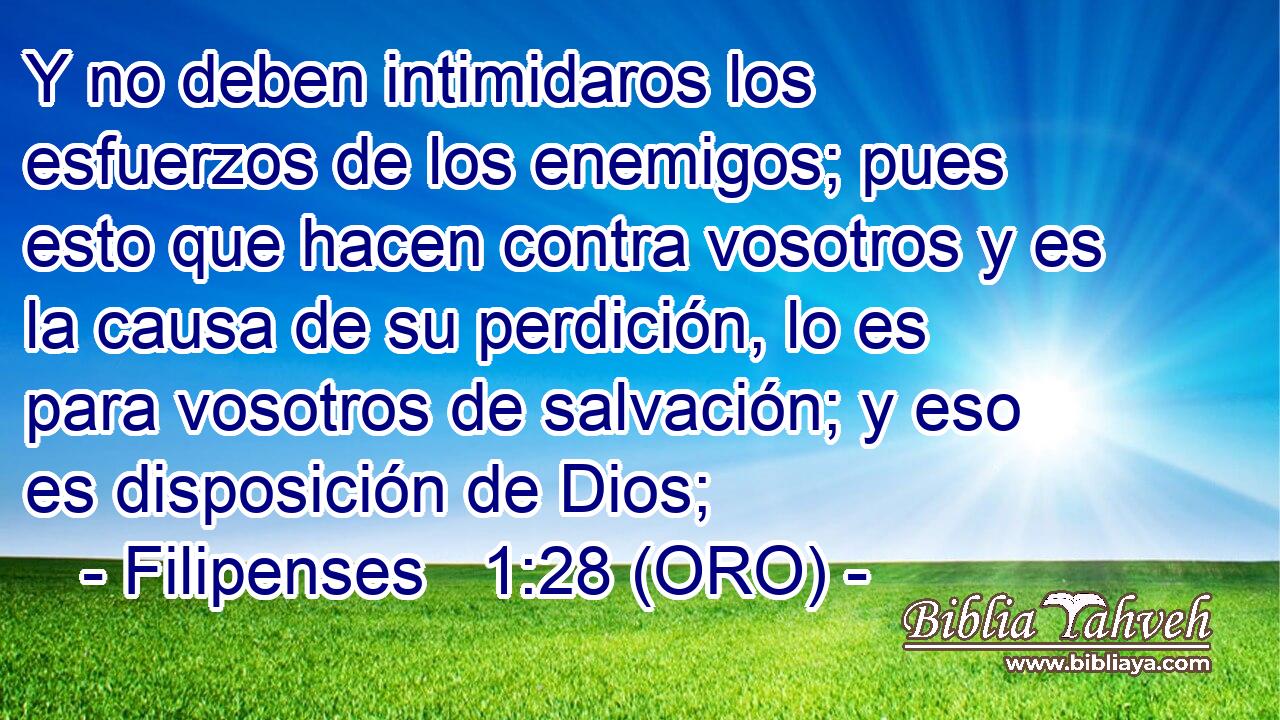 Y no deben intimidaros los esfuerzos de los enemigos; pues esto que hacen contra vosotros y es la causa de su perdición, lo es para vosotros de salvación; y eso es disposición de Dios; 
