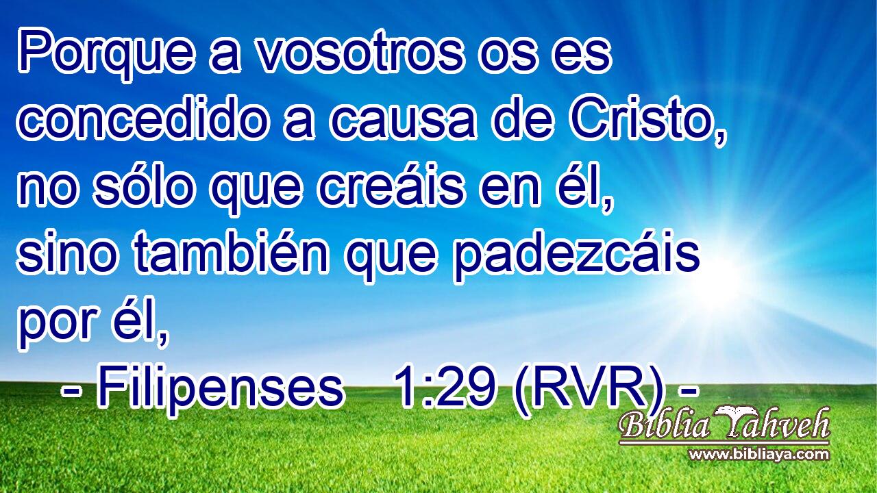 Porque a vosotros os es concedido a causa de Cristo, no sólo que creáis en él, sino también que padezcáis por él,