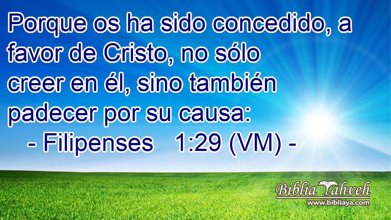  Porque os ha sido concedido, a favor de Cristo, no sólo creer en él, sino también padecer por su causa: 