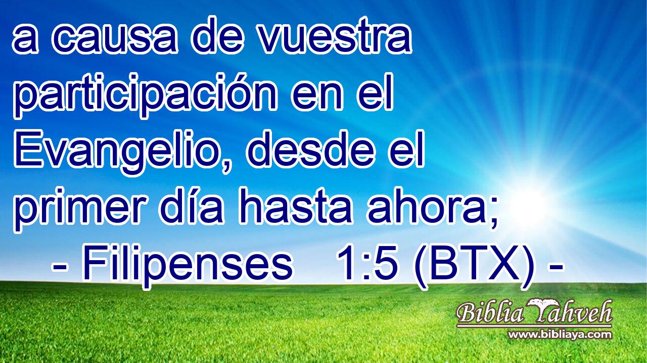 a causa de vuestra participación en el Evangelio, desde el primer día hasta ahora;