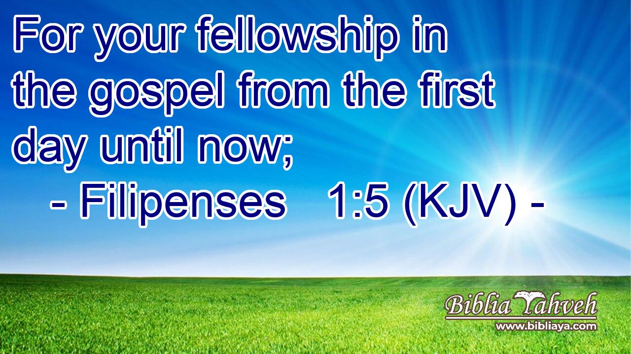 For your fellowship in the gospel from the first day until now;