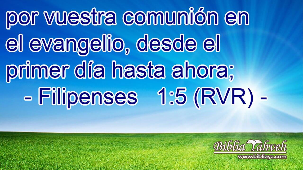 por vuestra comunión en el evangelio, desde el primer día hasta ahora;