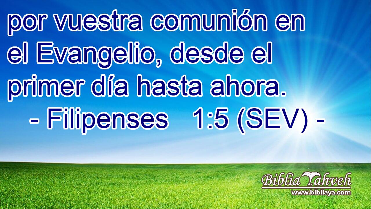por vuestra comunión en el Evangelio, desde el primer día hasta ahora.