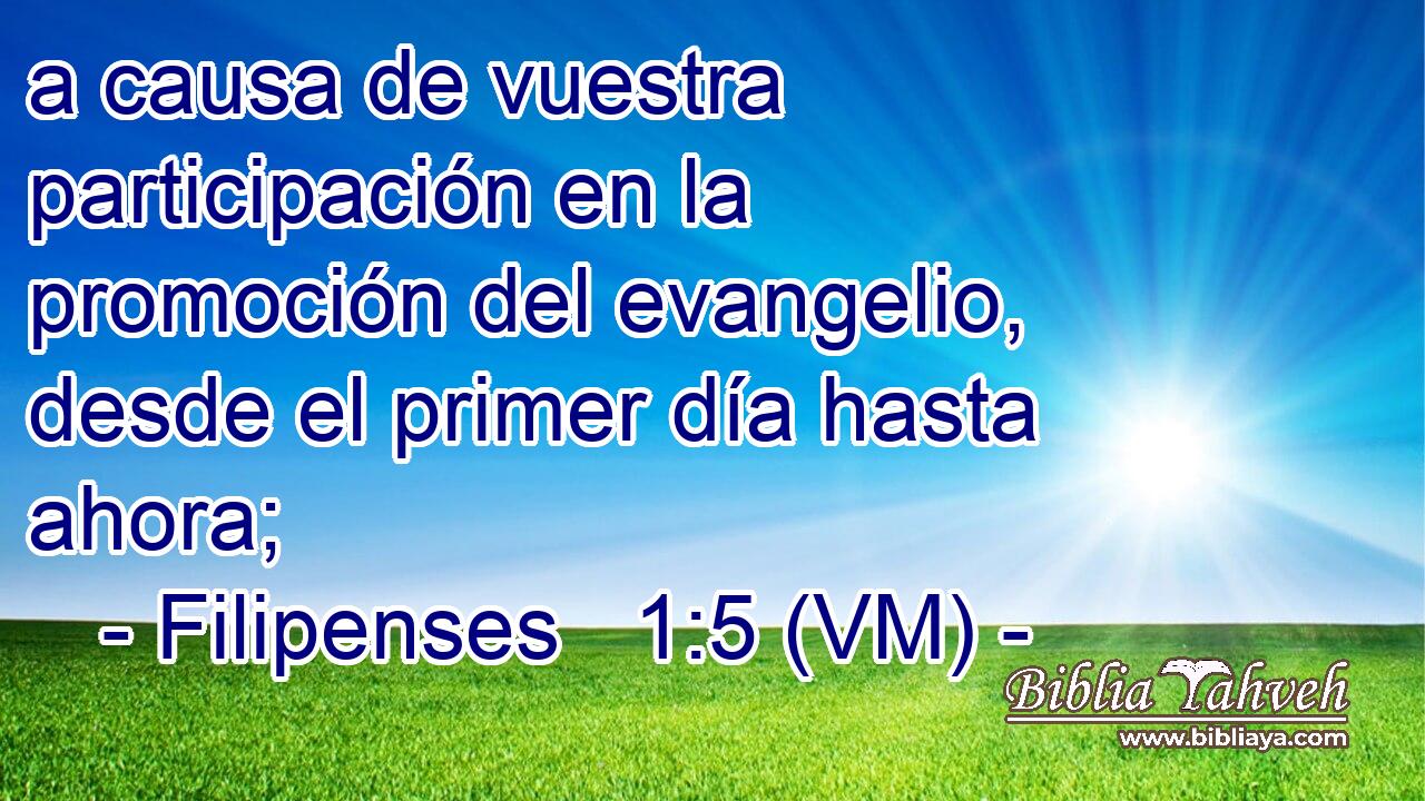  a causa de vuestra participación en la promoción del evangelio, desde el primer día hasta ahora; 