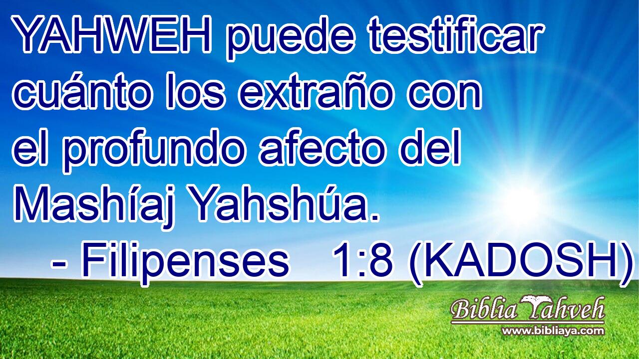  YAHWEH puede testificar cuánto los extraño con el profundo afecto del Mashíaj Yahshúa. 