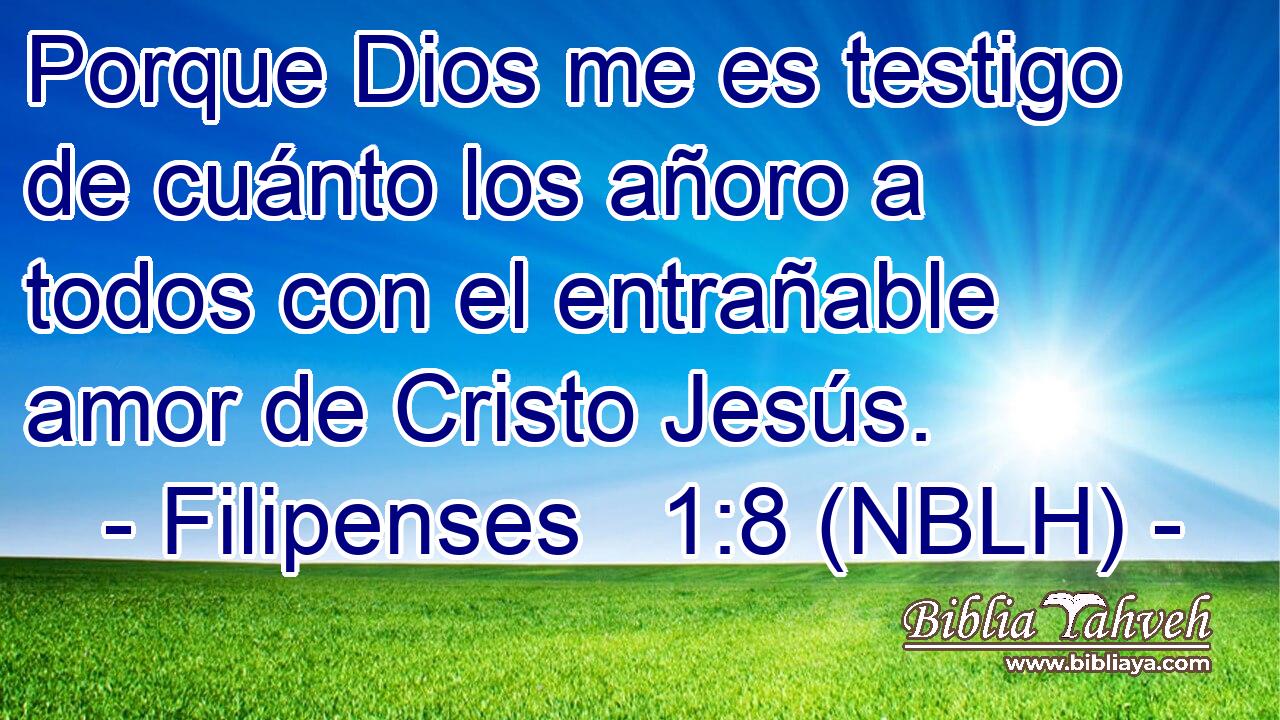  Porque Dios me es testigo de cuánto los añoro a todos con el entrañable amor de Cristo Jesús. 