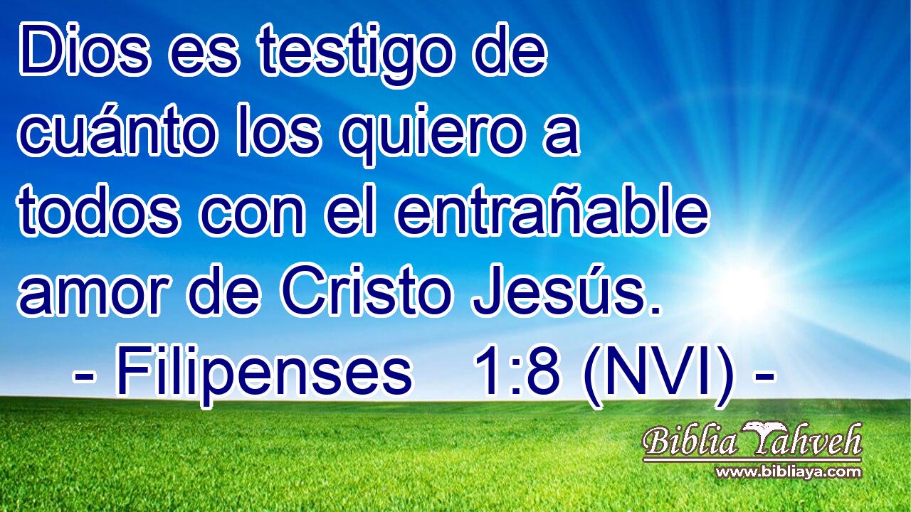  Dios es testigo de cuánto los quiero a todos con el entrañable amor de Cristo Jesús. 