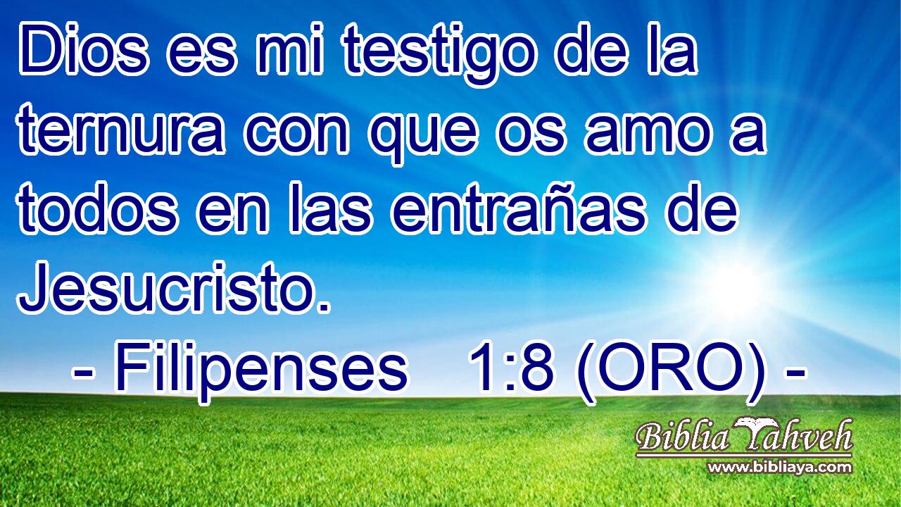  Dios es mi testigo de la ternura con que os amo a todos en las entrañas de Jesucristo. 