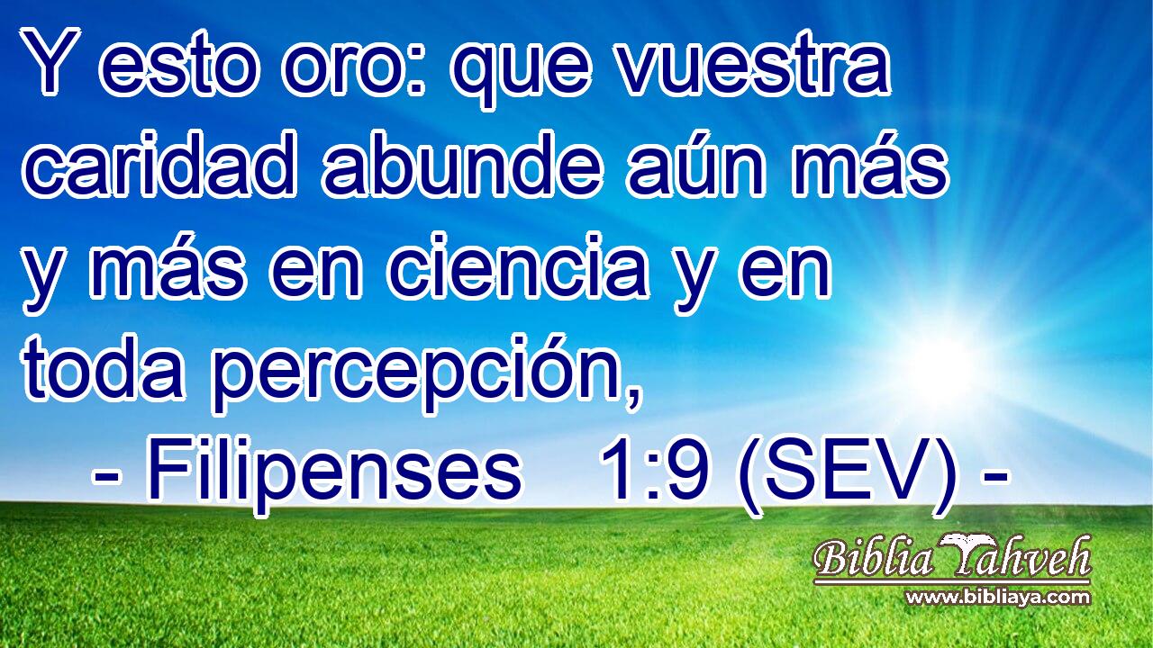 Y esto oro: que vuestra caridad abunde aún más y más en ciencia y en toda percepción,