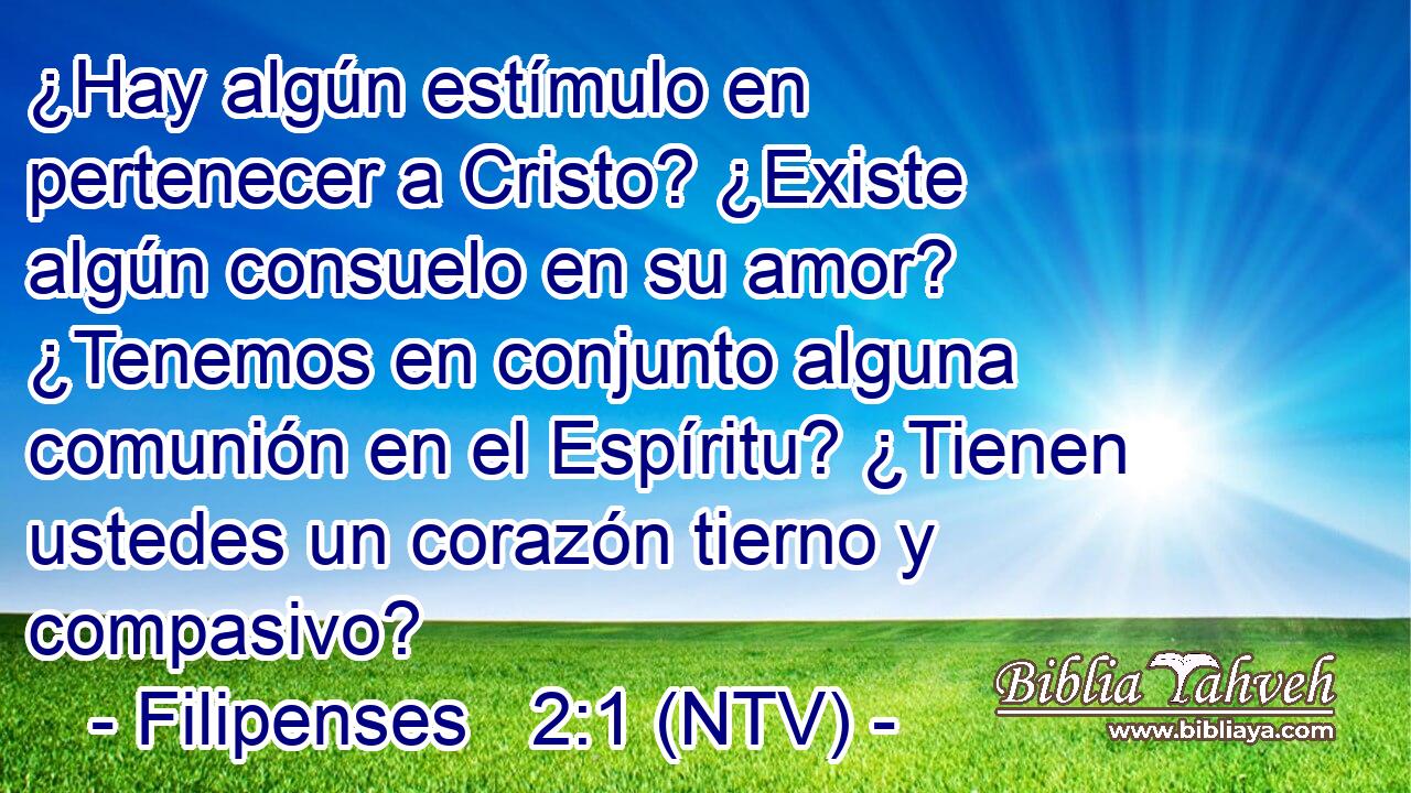 ¿Hay algún estímulo en pertenecer a Cristo? ¿Existe algún consuelo en su amor? ¿Tenemos en conjunto alguna comunión en el Espíritu? ¿Tienen ustedes un corazón tierno y compasivo?