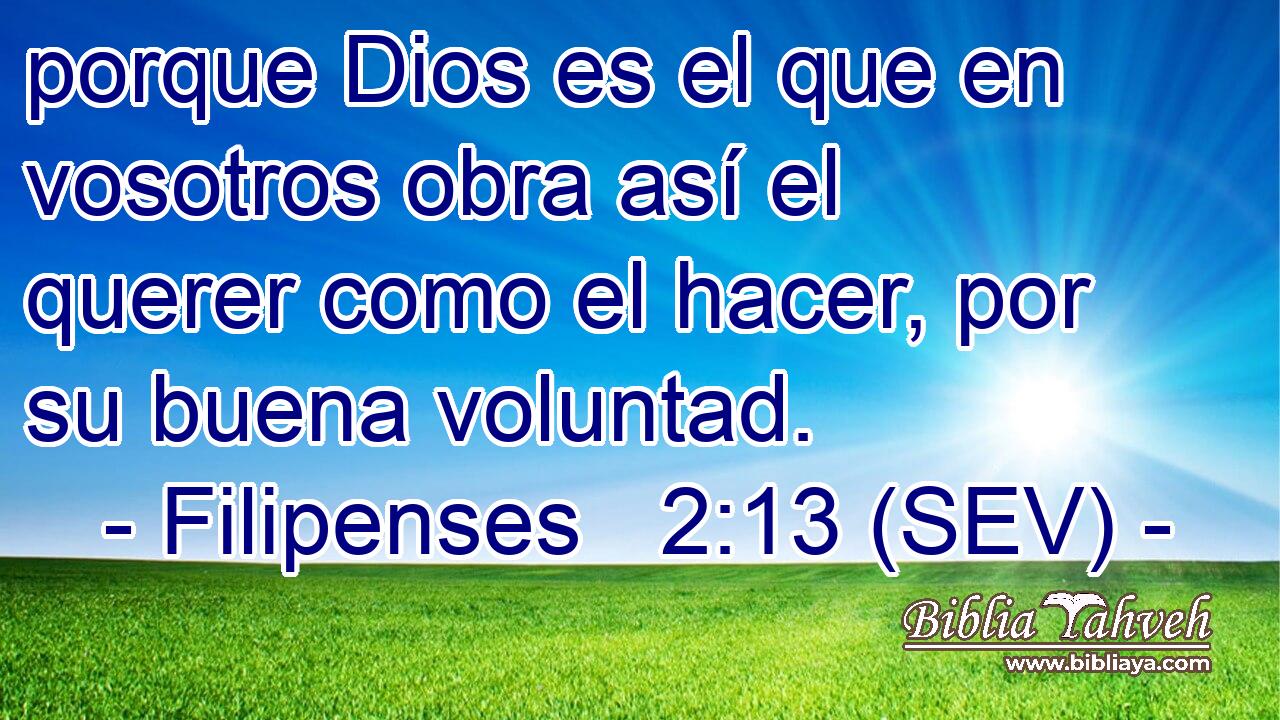 porque Dios es el que en vosotros obra así el querer como el hacer, por su buena voluntad.