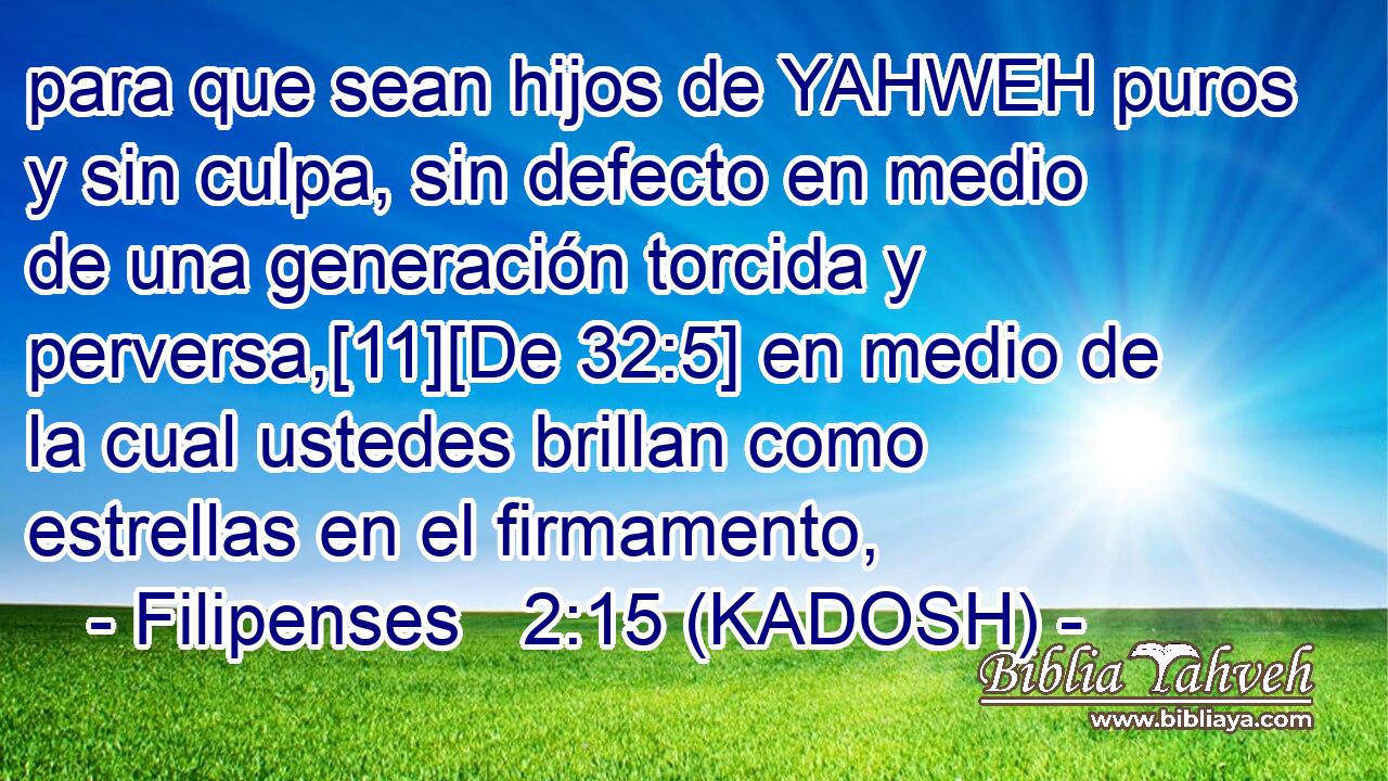  para que sean hijos de YAHWEH puros y sin culpa, sin defecto en medio de una generación torcida y perversa,[11][De 32:5] en medio de la cual ustedes brillan como estrellas en el firmamento, 