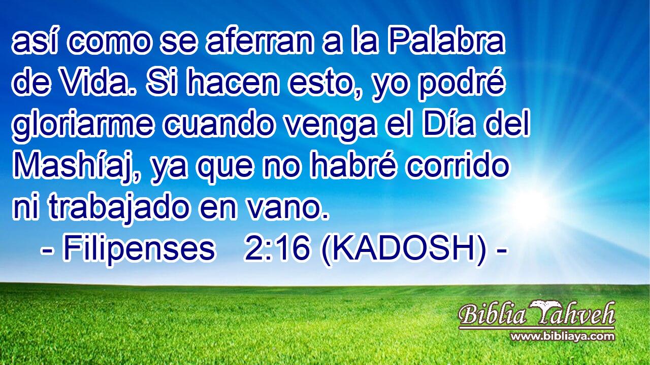  así como se aferran a la Palabra de Vida. Si hacen esto, yo podré gloriarme cuando venga el Día del Mashíaj, ya que no habré corrido ni trabajado en vano. 