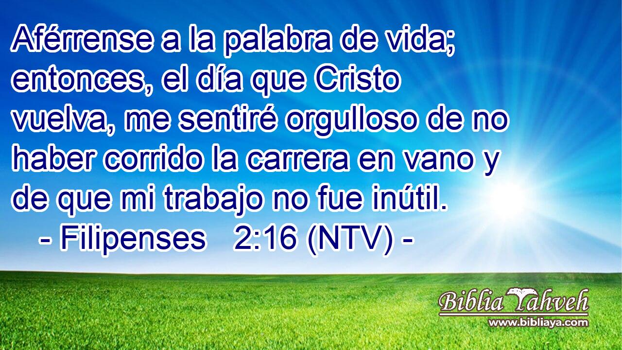 Aférrense a la palabra de vida; entonces, el día que Cristo vuelva, me sentiré orgulloso de no haber corrido la carrera en vano y de que mi trabajo no fue inútil.