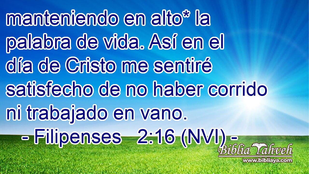  manteniendo en alto* la palabra de vida. Así en el día de Cristo me sentiré satisfecho de no haber corrido ni trabajado en vano. 