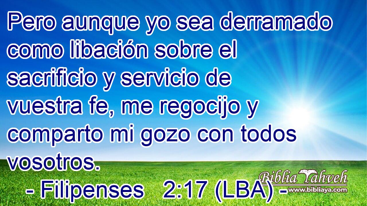 Pero aunque yo sea derramado como libación sobre el sacrificio y servicio de vuestra fe, me regocijo y comparto mi gozo con todos vosotros.