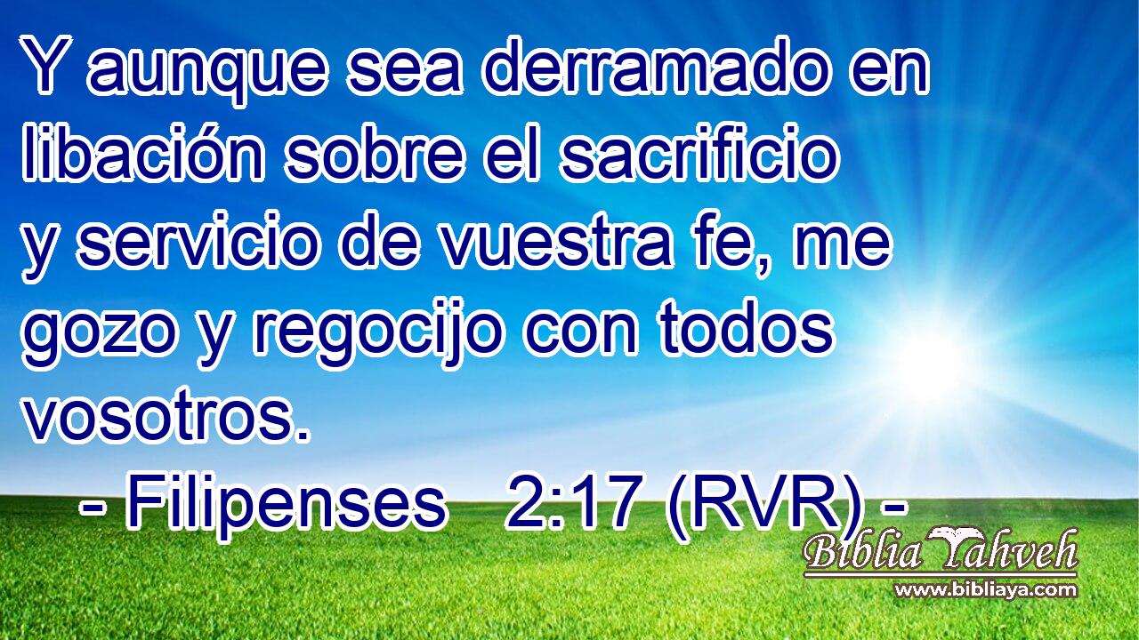 Y aunque sea derramado en libación sobre el sacrificio y servicio de vuestra fe, me gozo y regocijo con todos vosotros.