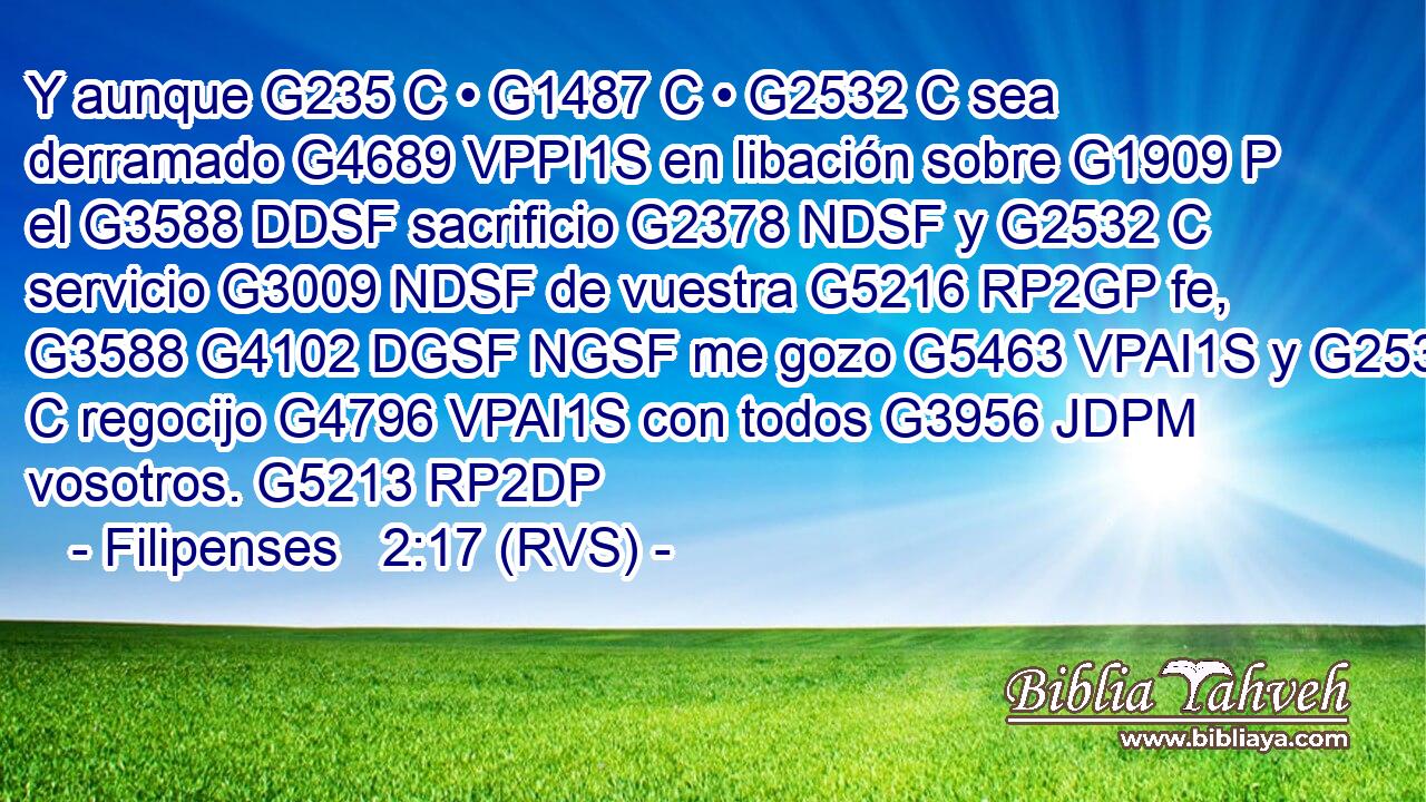 Y aunque G235 C • G1487 C • G2532 C sea derramado G4689 VPPI1S en libación sobre G1909 P el G3588 DDSF sacrificio G2378 NDSF y G2532 C servicio G3009 NDSF de vuestra G5216 RP2GP fe, G3588 G4102 DGSF NGSF me gozo G5463 VPAI1S y G2532 C regocijo G4796 VPAI1S con todos G3956 JDPM vosotros. G5213 RP2DP 