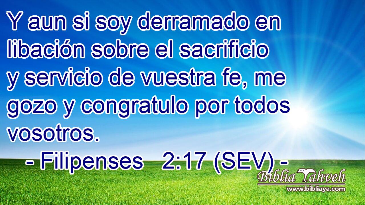 Y aun si soy derramado en libación sobre el sacrificio y servicio de vuestra fe, me gozo y congratulo por todos vosotros.