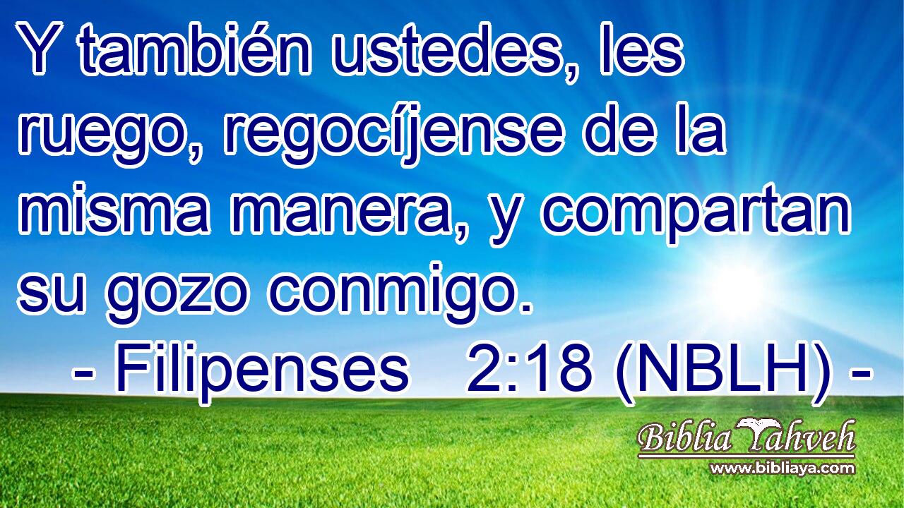  Y también ustedes, les ruego, regocíjense de la misma manera, y compartan su gozo conmigo. 