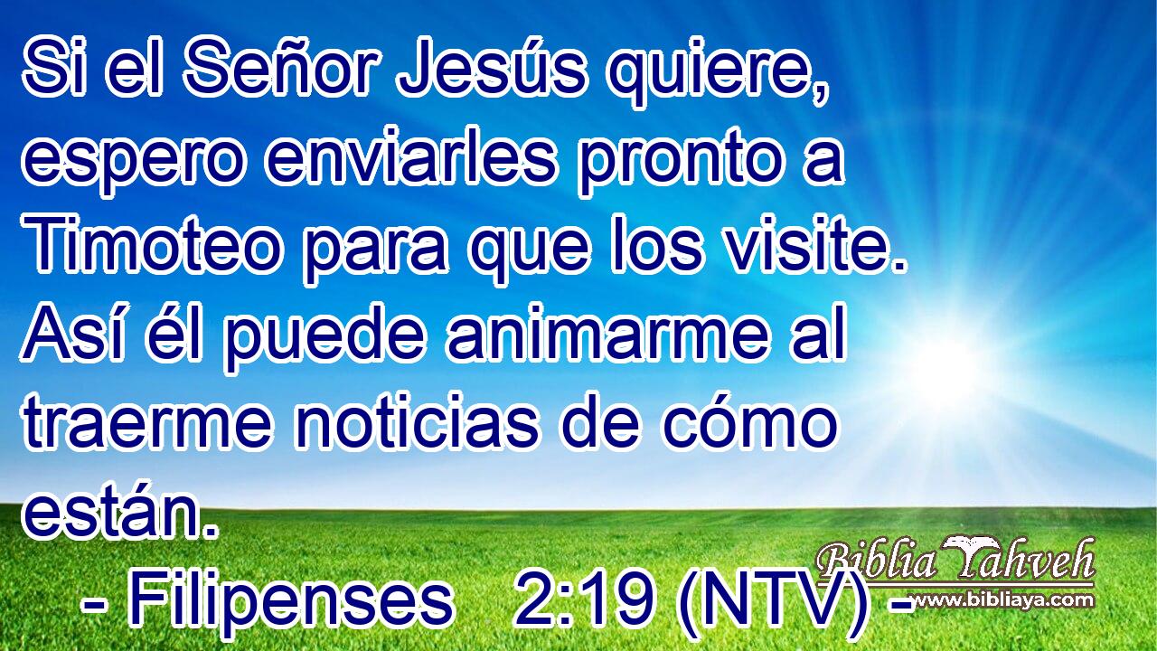 Si el Señor Jesús quiere, espero enviarles pronto a Timoteo para que los visite. Así él puede animarme al traerme noticias de cómo están.