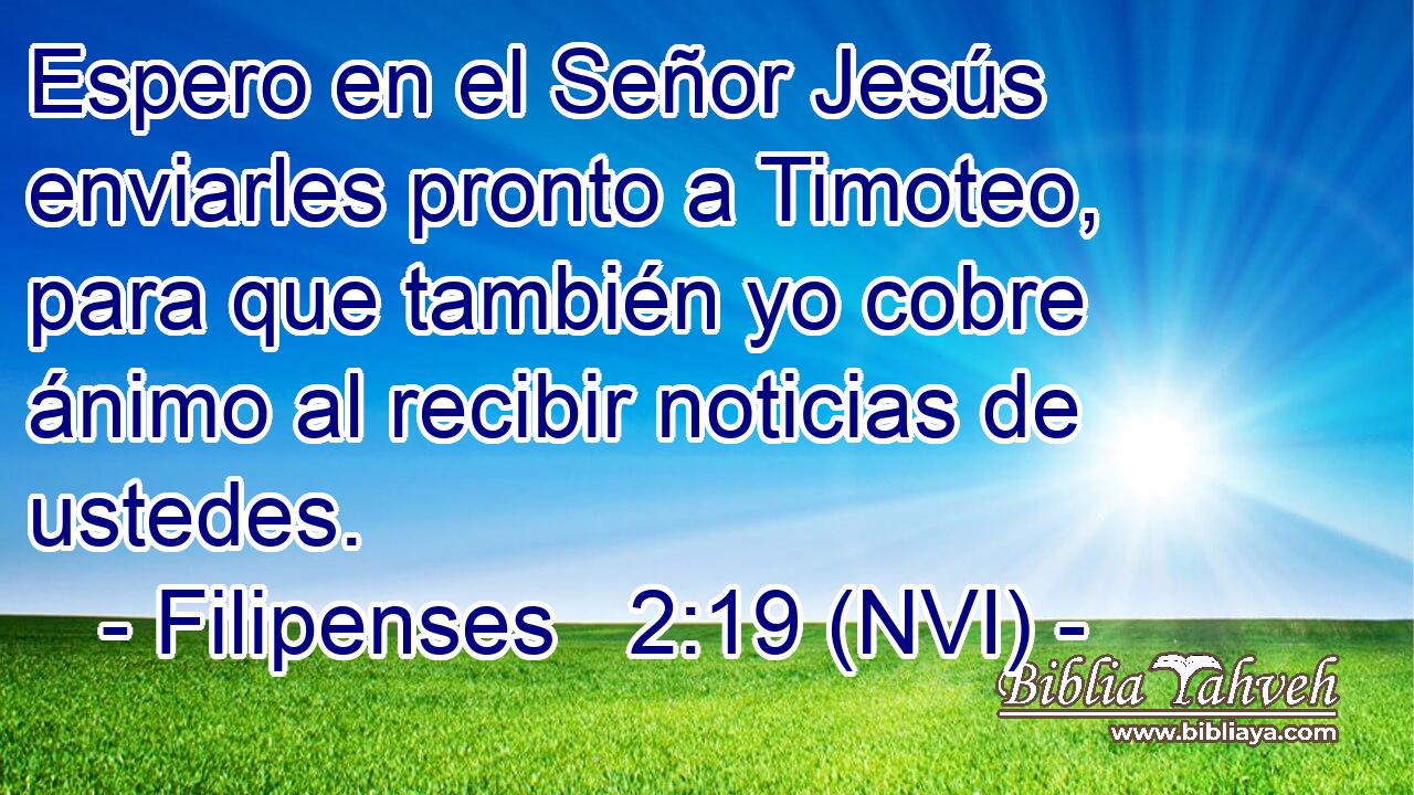  Espero en el Señor Jesús enviarles pronto a Timoteo, para que también yo cobre ánimo al recibir noticias de ustedes. 